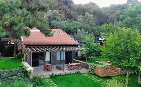 Triada Hotel Bueyuekada